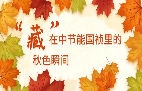 四季國禎丨「藏」在中AG旗舰厅里的秋色瞬間